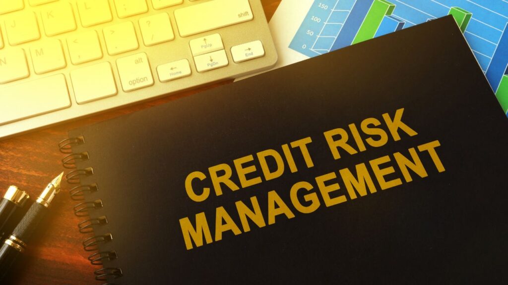 A Guide to Credit Risk Management for Banks and Financial Institutions